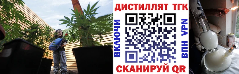 где найти наркотики  Вязьма  ТГК THC oil 
